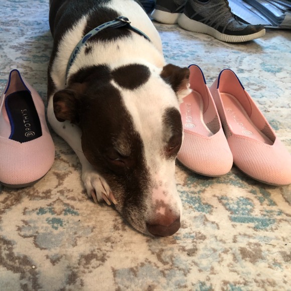 rothyshoeaddict